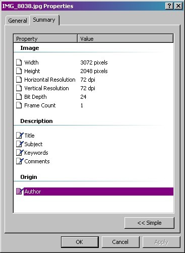 exif data after web image optimizer strips it