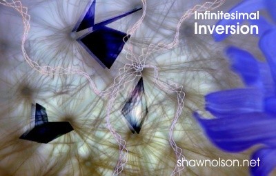 infinitesimal inversion