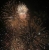 fireworks photo