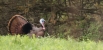 Male Turky Photo